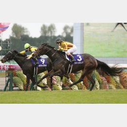 16年は府中牝馬組のワン・ツー決着