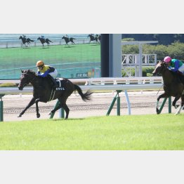 前回は完勝だった