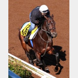 今週の坂路では無理せずに好時計をマーク