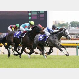 ヴィクトリアマイルはレコード勝ち