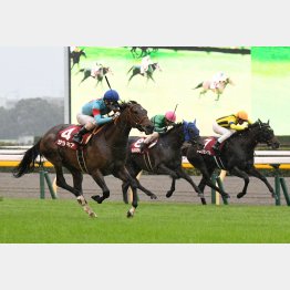 府中牝馬Sは快勝
