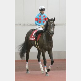 馬場のいい阪神で反撃