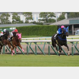 夕月特別勝ちは重賞級