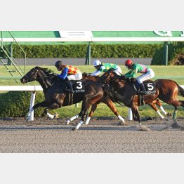 前回は完勝だった