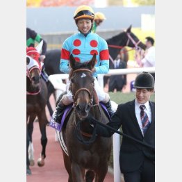 ②着も5歳馬サラキア