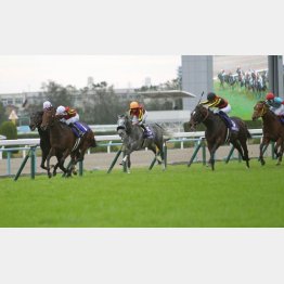 18年は3歳馬ステルヴィオがV