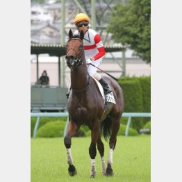 デビュー戦を快勝