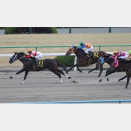 今年最初の3日間競馬最終日のメイン・すばるSを制したのも川田
