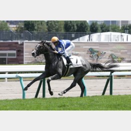 芝で圧勝もダート替わりは既定路線