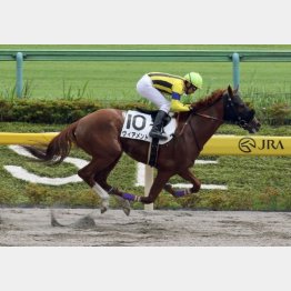 同舞台で1勝クラス勝ち