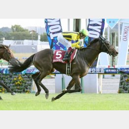 富士Sで重賞初制覇