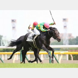 相手本線は外山のサトノフォース
