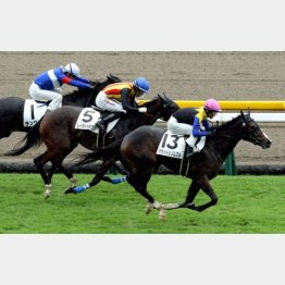 同じ舞台で未勝利勝ち