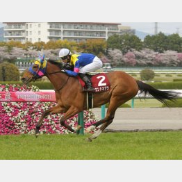 阪神牝馬Sで重賞3連勝