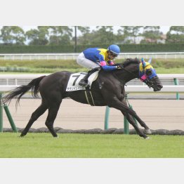 2走前は完勝だった