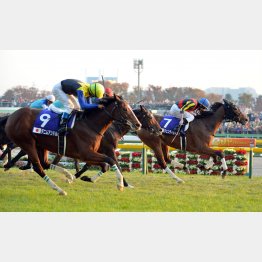 13年は日本の牝馬同士でワン・ツー