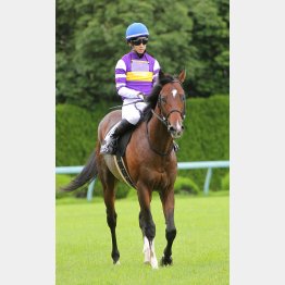 松山とのコンビで2勝