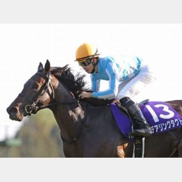 秋華賞制覇で3冠馬に