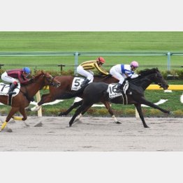 東京マイルで連勝