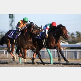 3歳時の昨年、6連勝で頂点に