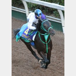エアアルマスはラスト1F11秒9