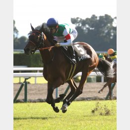 大原Sまで4連勝