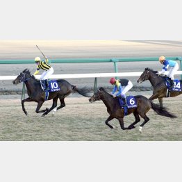 日本で初めてのGⅠ勝ちだった有馬記念も…