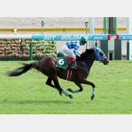 昨夏の新潟ジャンプSで重賞勝ち