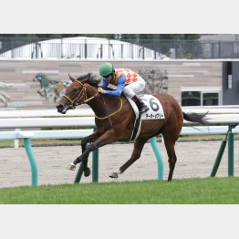 新馬戦は快勝