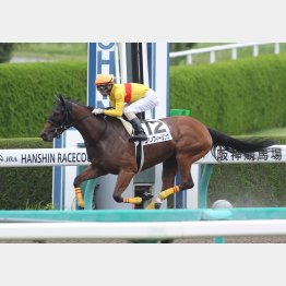 3走前は阪神6Fダートで3馬身の圧勝
