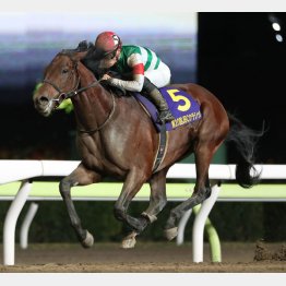 JBCクラシックで国内8戦8勝