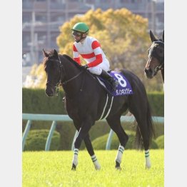 【有馬記念】クロノ、グランアレグリア活躍の裏で 同期の牡馬 ...
