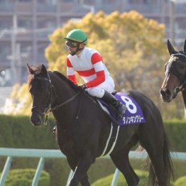 日刊ゲンダイ競馬