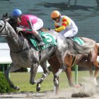 【東京大賞典】相手に恵まれ3連覇が見えたオメガパフューム