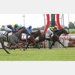 新馬戦は中京千六で②着(12番)