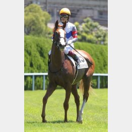 新馬以来の勝利を重賞で