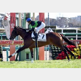 同じ舞台で未勝利勝ち