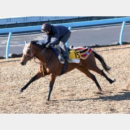 直前はウッドで1F12秒5