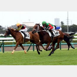 好内容で新馬勝ち