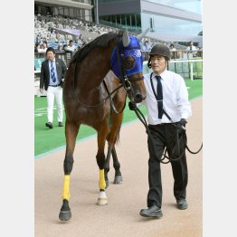 小倉向き血統だ