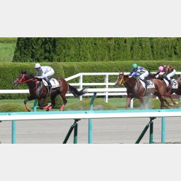 1勝クラスは5カ月ぶりでV