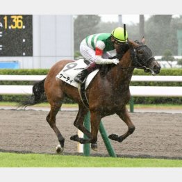強敵相手に新馬勝ち