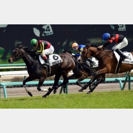 中山で1勝クラスをⅤ