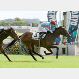 新馬戦は好内容でV