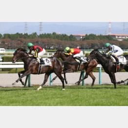 2戦目は完勝