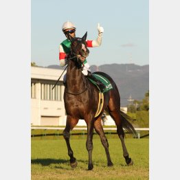 京都2歳S以来の美酒を