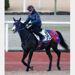 タイトル奪取だ