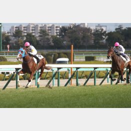 初戦は完勝