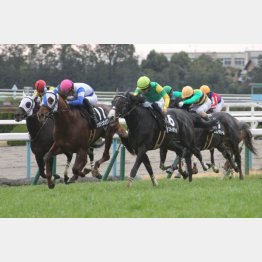 許波多特別を快勝