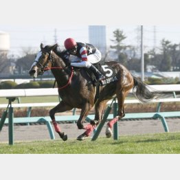 シオミチクレバはこの舞台で1勝クラスV